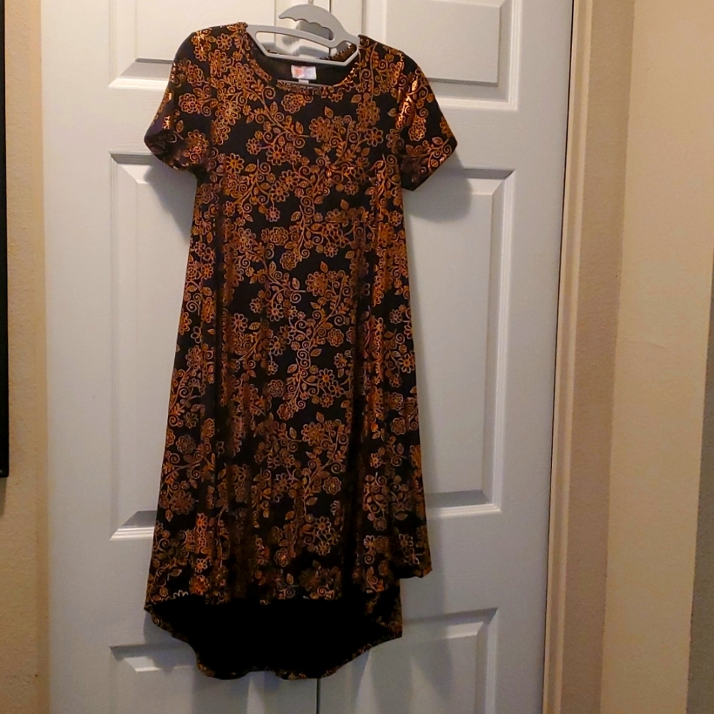 Lularoe Dress Bundle XXS